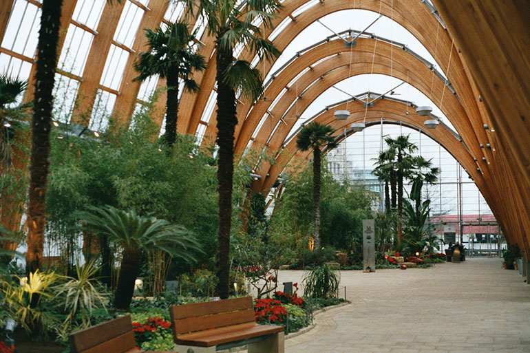 Sheffield Winter Garden