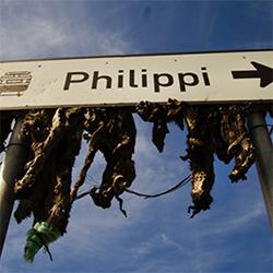 Philippi - New Book from Cape Town 