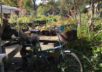 Hulme Community City Garden Manchester