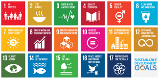 Sustainable Development Goals, SDGs